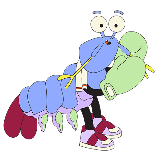 Manni, der Mantis Shrimp